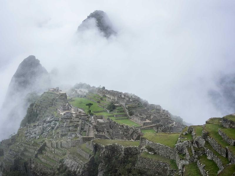 sudoku challenge mode screenshot 4